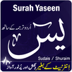 Surah Yaseen with Translation mp3 APK
