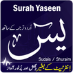 Surah Yaseen with Translation mp3