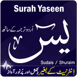 Surah Yaseen with Translation mp3 icône