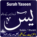 APK Surah Yaseen with Translation mp3