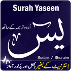 Surah Yaseen with Translation mp3 icon