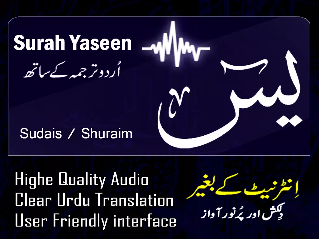 Surah Yaseen with Translation mp3 for Android - APK Download