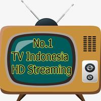 TV Indo HD Streaming capture d'écran 1