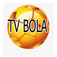 Semua TV Indonesia 포스터