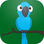 Flying Blue Bird
