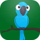 Flying Blue Bird APK