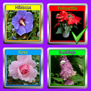 The Garden Quiz: Flowers APK