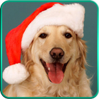Christmas Dogs Live Wallpaper 아이콘