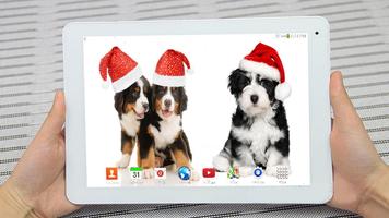 Christmas Dogs Live Wallpaper 포스터