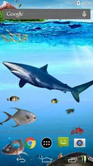 Aquarium Live Wallpaper HD APK download