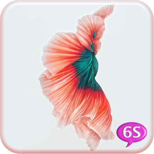 Betta Fish 6S Live Wallpaper