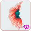 Betta Fish 6S Live Wallpaper APK