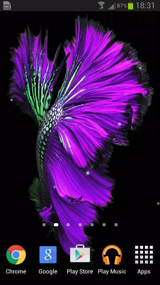 Betta Fish 6S Live Wallpaper APK for Android Download Betta Fish 6S Live Wallpaper APK for Android Download