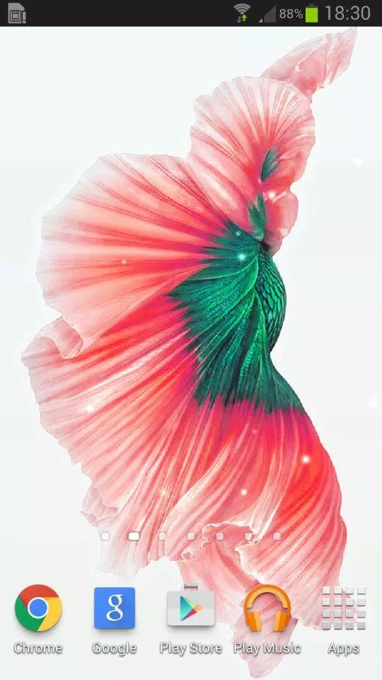 Betta Fish 6S Live Wallpaper APK for Android Download Betta Fish 6S Live Wallpaper APK for Android Download