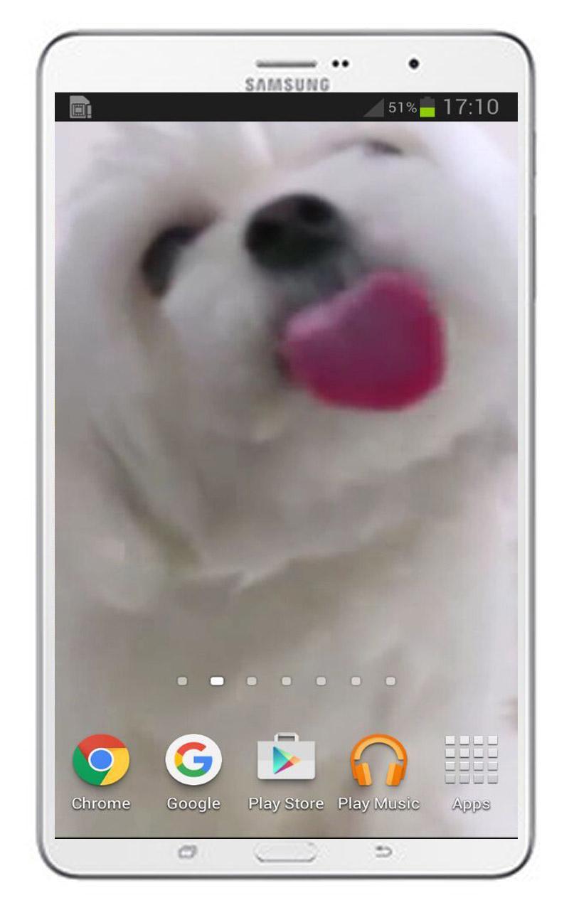 下載Dog Licking Screen Wallpaper的安卓版本