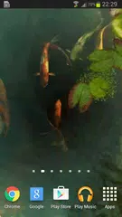 Koi 3D Live Wallpaper APK download