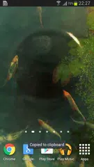 Koi 3D Live Wallpaper APK download