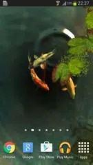 Koi 3D Live Wallpaper APK download