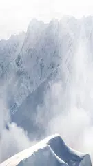 S8 Wallpaper HD ,4K Background APK download