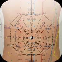 Acupuncture HandBook स्क्रीनशॉट 2