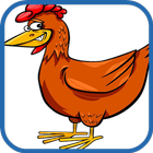 Flying Chicken Faster icône