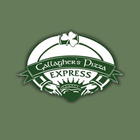 Gallagher's Pizza Express icône