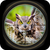 FPS Bird Hunter: Sniper Shooting Best Free Game icône