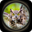 FPS Bird Hunter: Sniper Shooting Game Gratis Terba APK