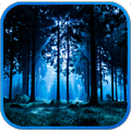 Haunted Woods 3D