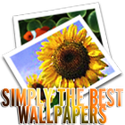 Simply The Best Wallpapers HD-icoon