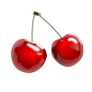 Shiraz APK