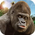 Angry Mad gorilla Wild Attack