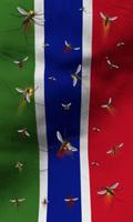 Gambia flag lwp Free imagem de tela 1