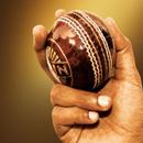 Handy Cricket APK