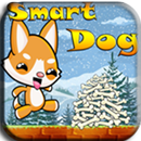 Dog run-Smart Games APK