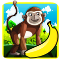Jungle Monkey