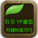 기아 그랜드 카니발 후속 YP(공식동호회] APK