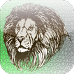 Slide Puzzle lion