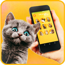 APK Удиви кота! Разговорник, звуки