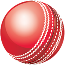 Cricket Speed Gun APK