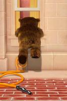Mark falando Urso imagem de tela 3