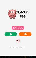Teacup Pig - Unblocked Games Affiche
