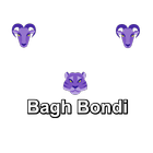 Bagh Bondi icon