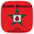 Beetle Morocco Game icon