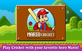 Mario Cricket Cartaz