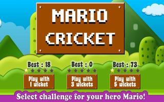 Mario Cricket imagem de tela 1