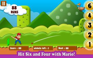 Mario Cricket imagem de tela 2