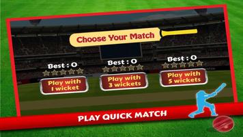 Cricket World Cup 2015 captura de pantalla 3