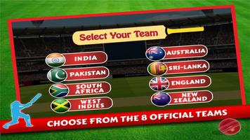Cricket World Cup 2015 Poster
