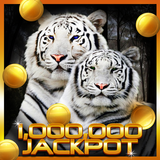 Wild Cat Slot: Real Jackpot icône